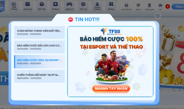 Cách Thức Hoạt Động Của Bảo Hiểm Cược Thua Tại TF88